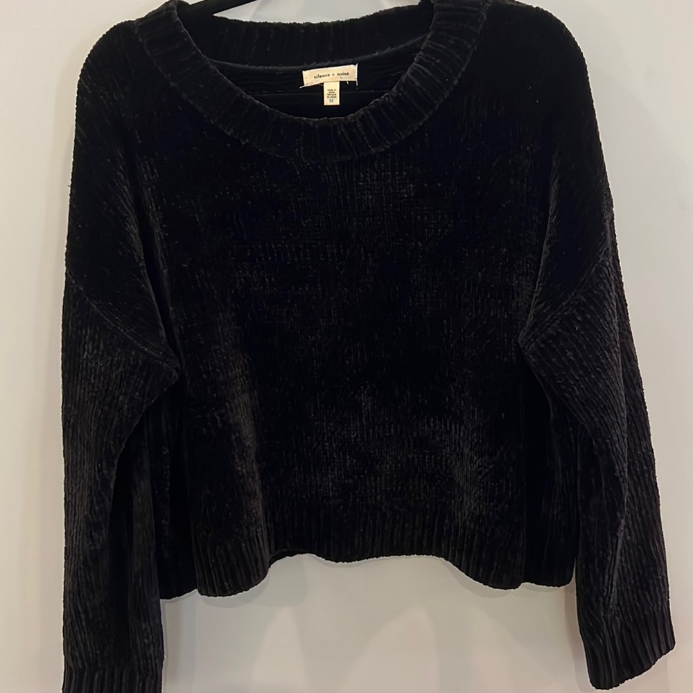 Urban Outfitter Silence & Noise Velour Sweater